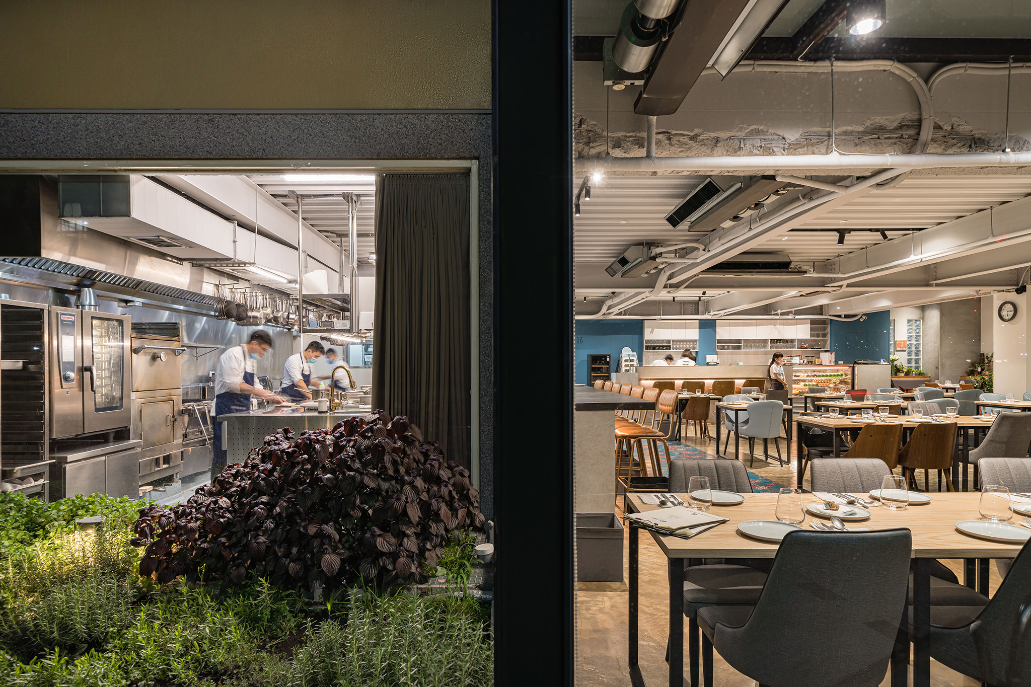 【燚條柴直火料理】